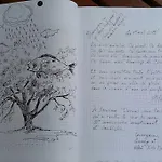 Maisonmazerand 4*