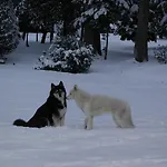 梅森马泽兰德住宿加早餐旅馆