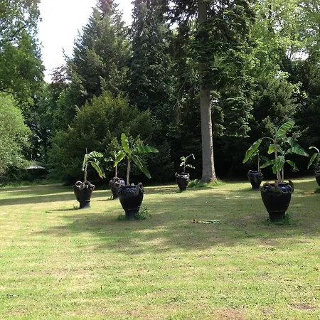 住宿加早餐酒店 梅森马泽兰德住宿加早餐旅馆 4*