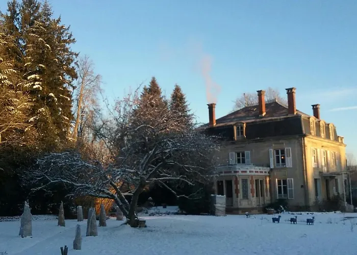 梅森马泽兰德住宿加早餐旅馆 Cirey-sur-Vezouze