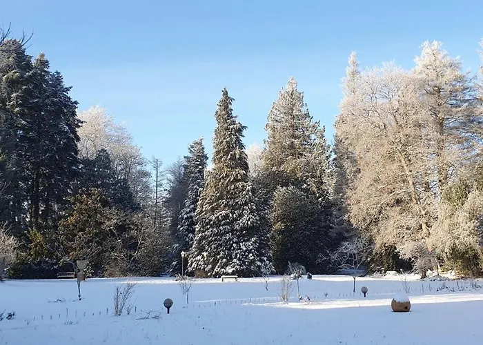 梅森马泽兰德住宿加早餐旅馆 4* Cirey-sur-Vezouze