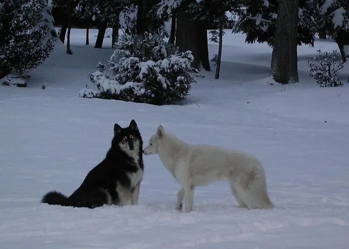 梅森马泽兰德住宿加早餐旅馆