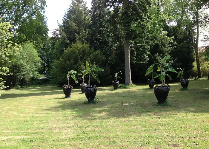 住宿加早餐酒店 梅森马泽兰德住宿加早餐旅馆 4*