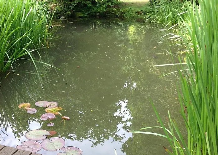 梅森马泽兰德住宿加早餐旅馆 Cirey-sur-Vezouze