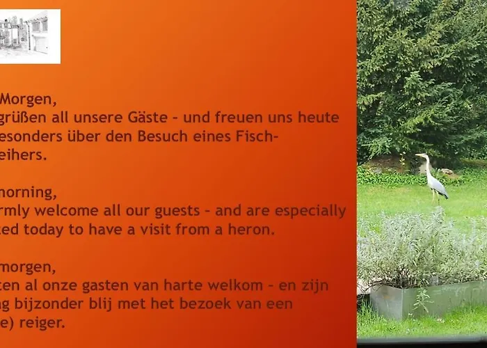 Maisonmazerand Bed & Breakfast 4*