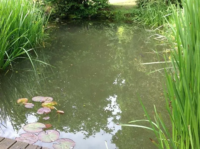 梅森马泽兰德住宿加早餐旅馆 Cirey-sur-Vezouze