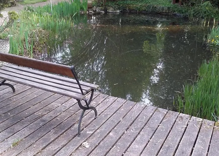 住宿加早餐酒店 梅森马泽兰德住宿加早餐旅馆 Cirey-sur-Vezouze